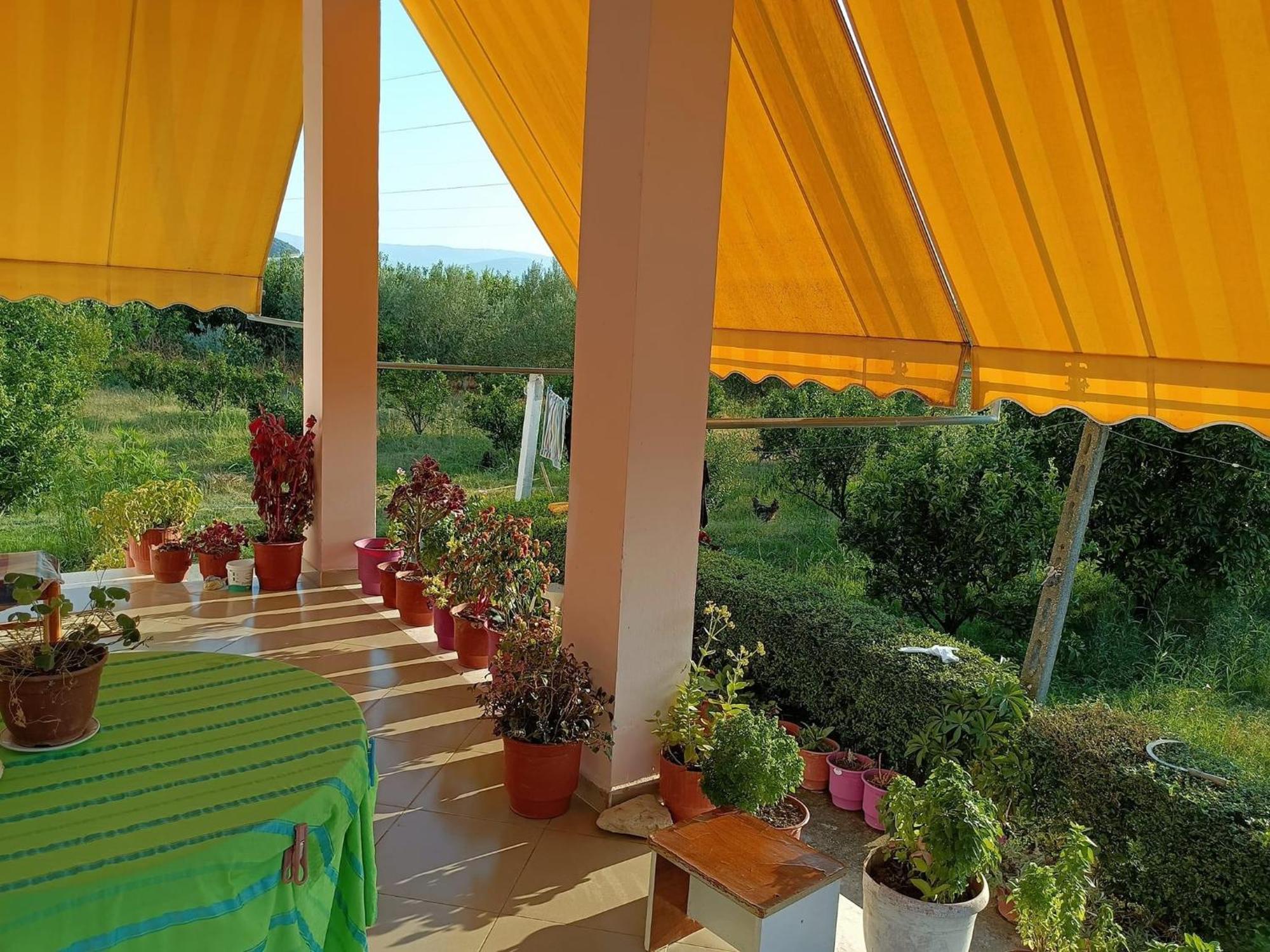 Guest House Fetie Berat Buitenkant foto