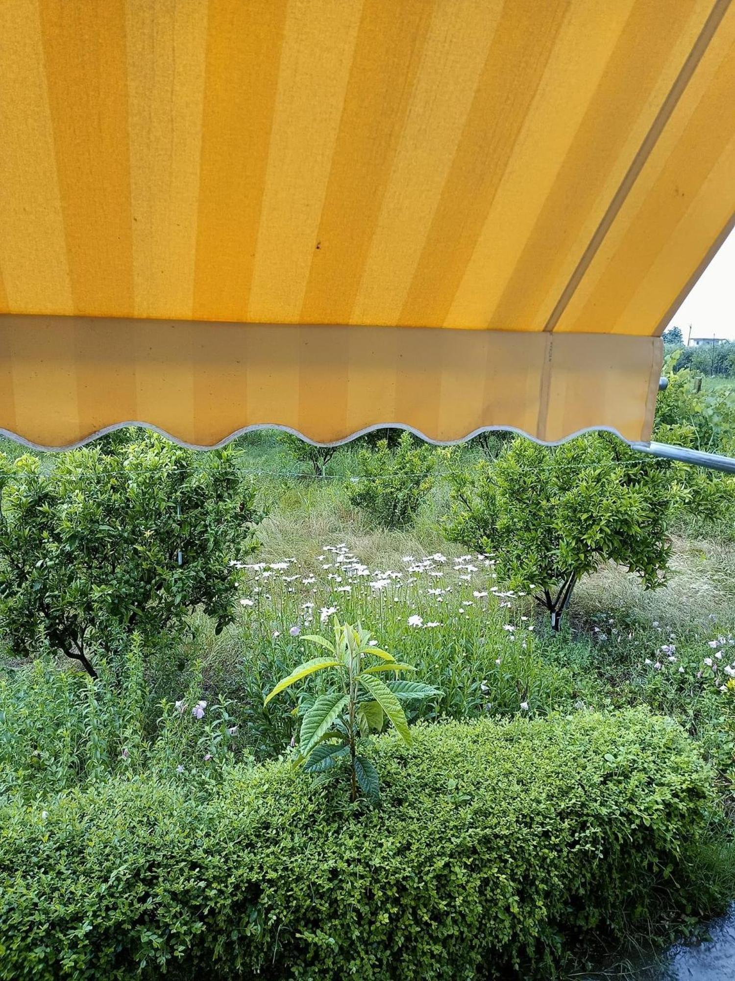 Guest House Fetie Berat Buitenkant foto